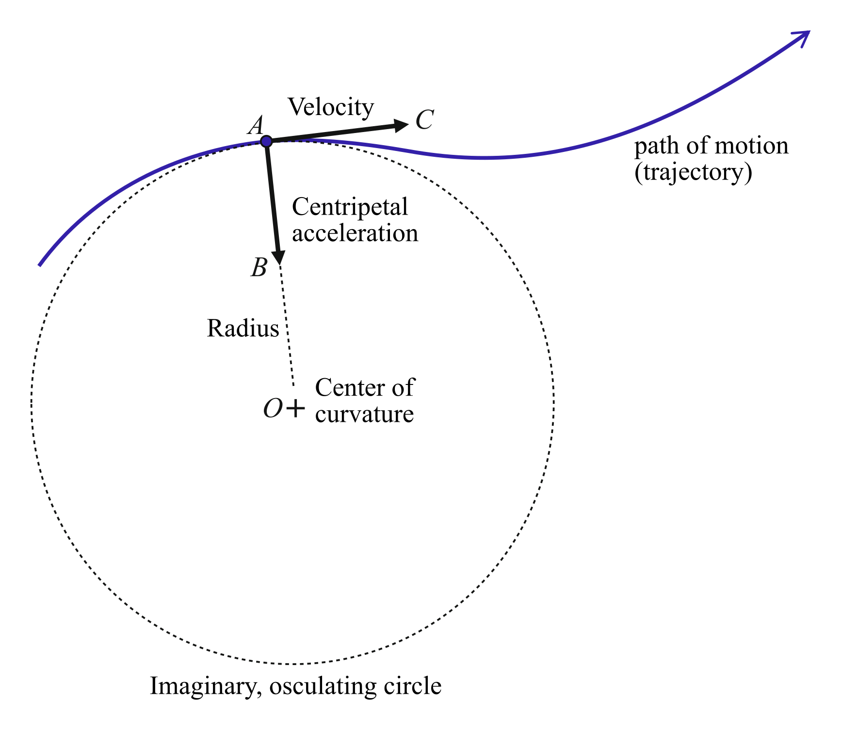 Curvilinear motion in a plane. A particle follows a curved path if at every point, there
    exists a force component normal to the direction of motion, called the centripetal force. At a
    given point $A$ along the trajectory, the centripetal acceleration, $AB$, acts toward the center $O$ of
    an imaginary circle, a tangent to which at $A$ gives the velocity vector, $AC$. The radius of curvature
    of the path at a given instant is the radius of the imaginary circle, which may keep on varying with
    time.